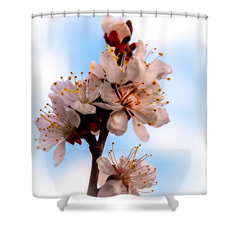 Flowers Shower Curtain featuring the photograph Spring Time by Robert Bales