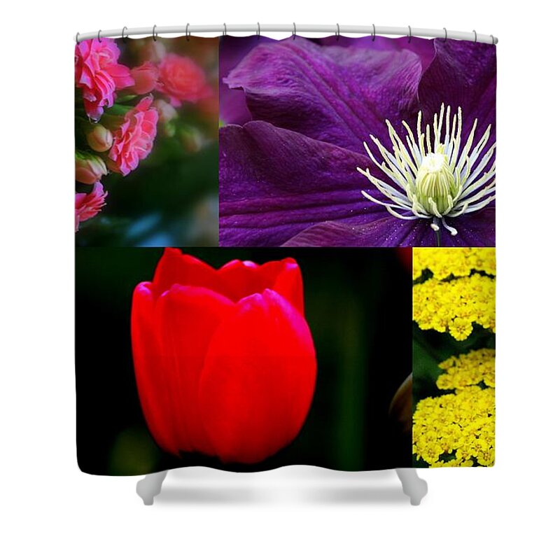 Flower Collage Shower Curtain featuring the digital art Springtime Blooms Collage by Kay Novy