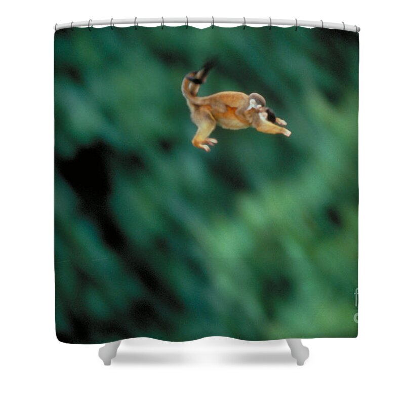 Squirrel Monkey Shower Curtain featuring the photograph Squirrel Monkey Leaping With Young by Gregory G Dimijian MD