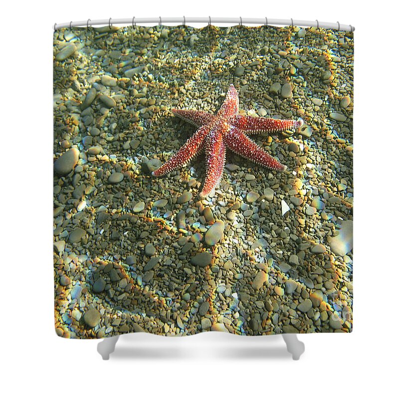 Underwater Shower Curtain featuring the photograph Starfish In Shallow Water by Ted Kinsman