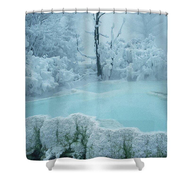 Mp Shower Curtain featuring the photograph Steaming Pool At Mammoth Hot Springs by Michael Quinton