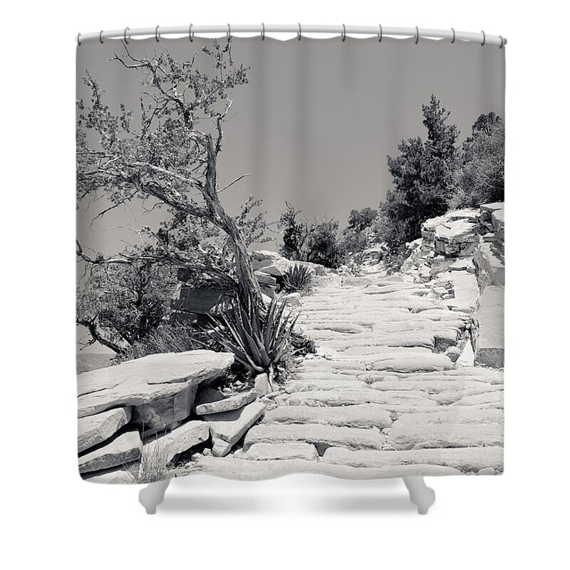 Trail Shower Curtain featuring the photograph Steps on the Hermit's Rest Trail II BW by Julie Niemela