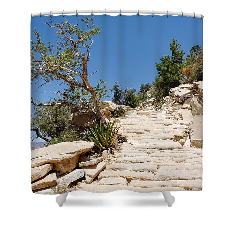 Trail Shower Curtain featuring the photograph Steps on the Hermit's Rest Trail II by Julie Niemela