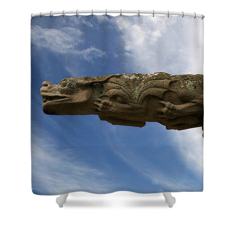 Stone Shower Curtain featuring the photograph Stone Dragon by Diana Haronis