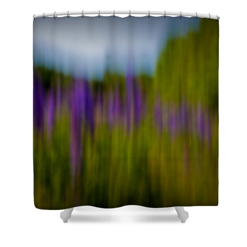 Lupines Shower Curtain featuring the photograph Summer Colors In Maine by Greg DeBeck