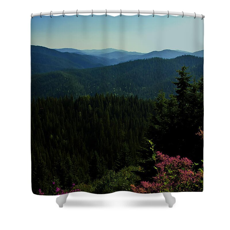 Wildflower Shower Curtain featuring the photograph Summer in The Mountains by Joseph Noonan