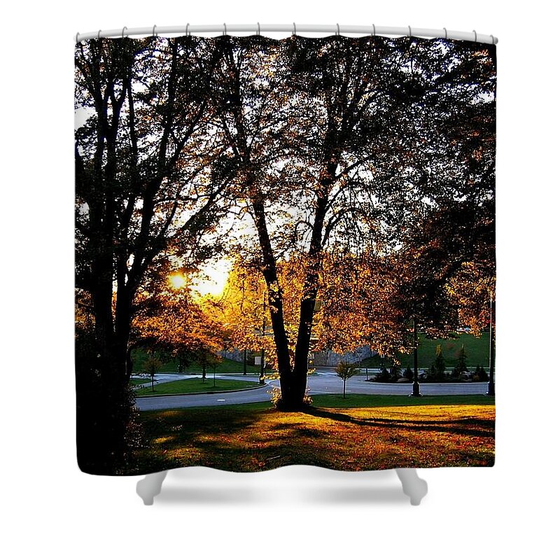 Stanley Park Shower Curtain featuring the photograph Sundown In Stanley Park by Will Borden