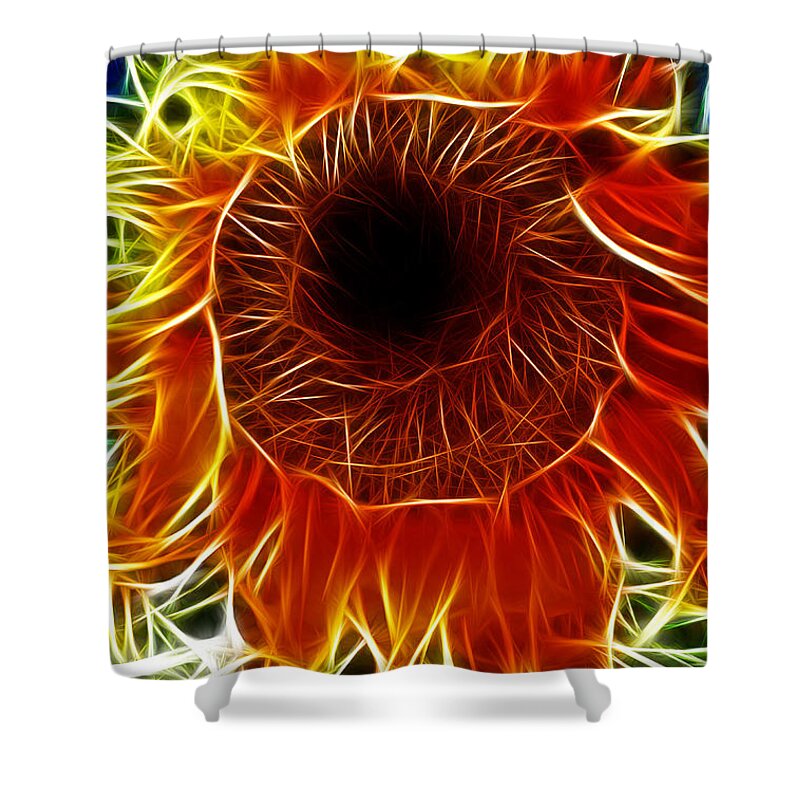 Fine Art Photography Shower Curtain featuring the photograph Sunflower Fractal by Donna Greene