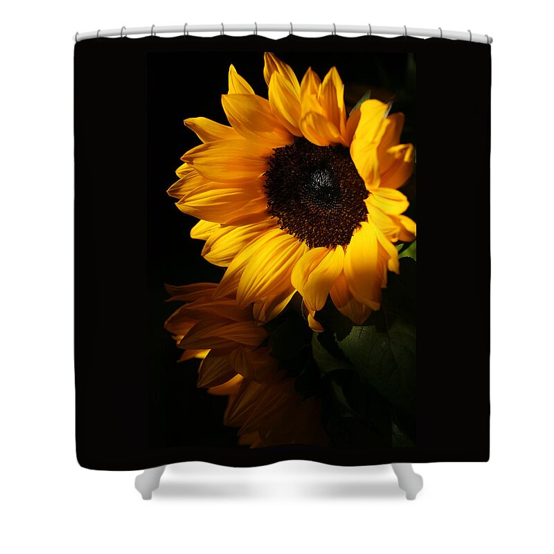 Sunflowers Shower Curtain featuring the photograph Sunflowers by Dorothy Cunningham