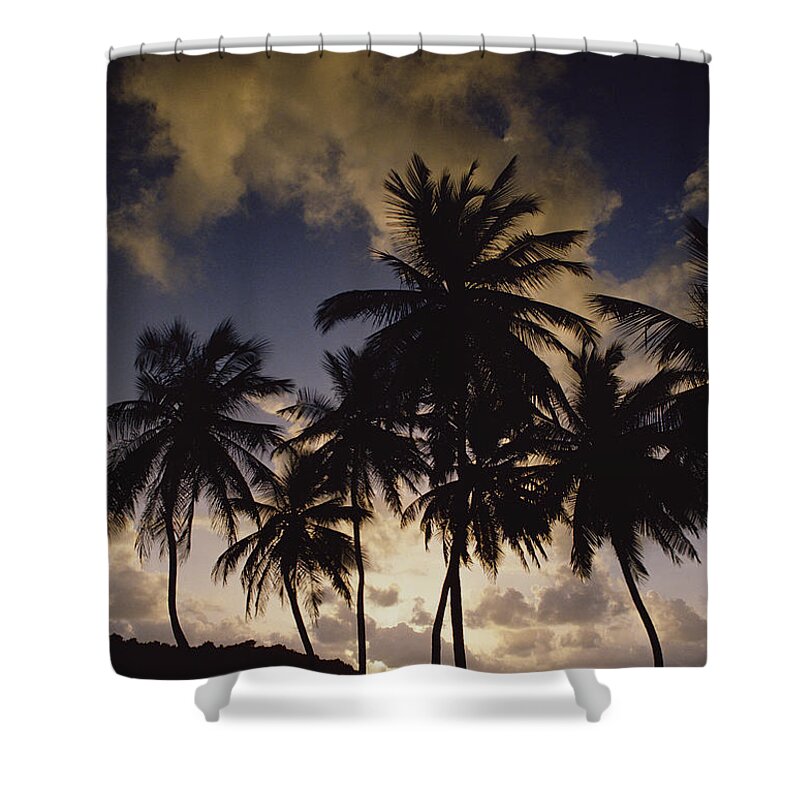 Mp Shower Curtain featuring the photograph Sunrise At La Sagesse Bay Over Marquis by Gerry Ellis