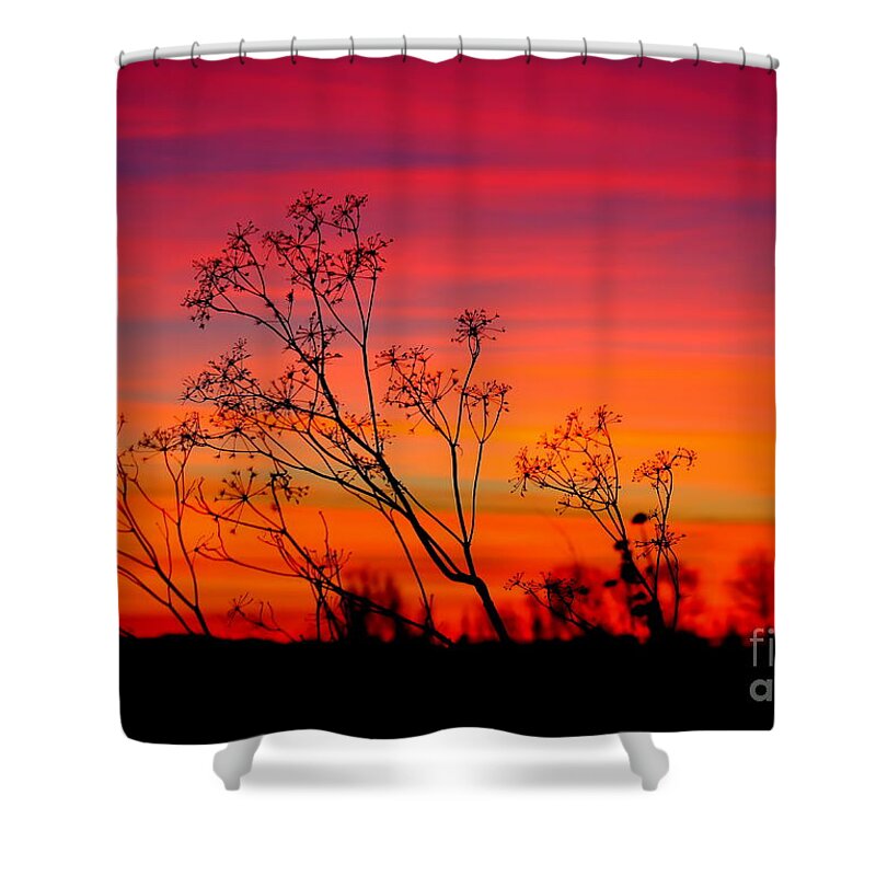 Sunset Shower Curtain featuring the photograph Sunset Silhouette by Patrick Witz