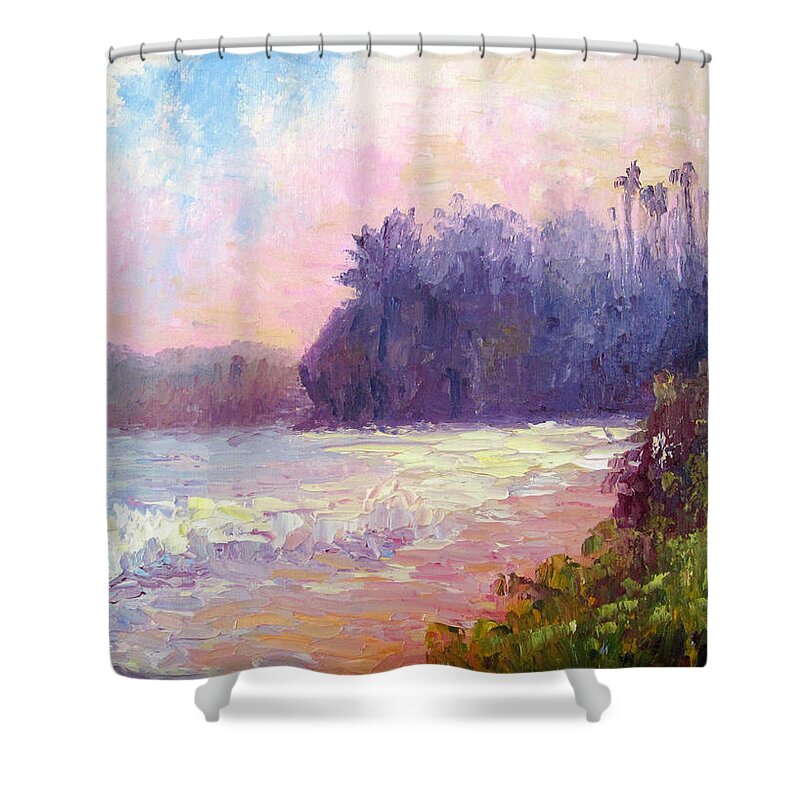 Santa Barbara Shower Curtain featuring the painting Sunset View From the Biltmore by Terry Chacon