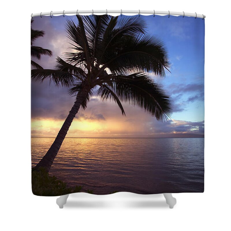 Beach Shower Curtain featuring the photograph Sunset with Palms by Ron Dahlquist - Printscapes