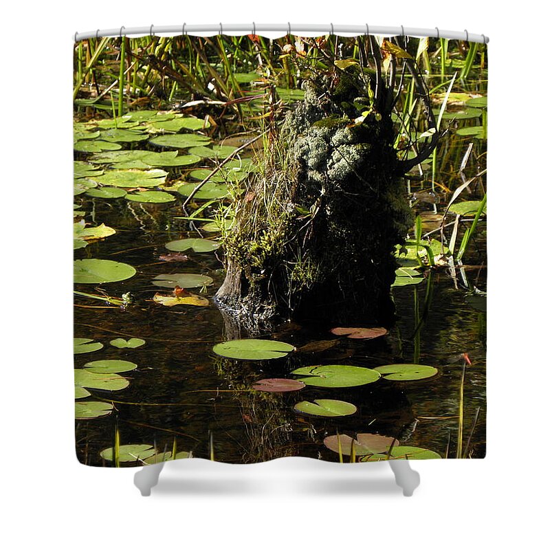 Stump Shower Curtain featuring the photograph Surrounded By Lily Pads by Kim Galluzzo