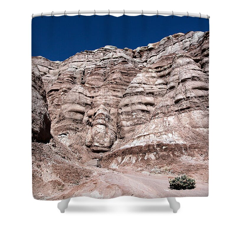 Escalante Shower Curtain featuring the photograph Survival in the Wilderness by Karen Lee Ensley