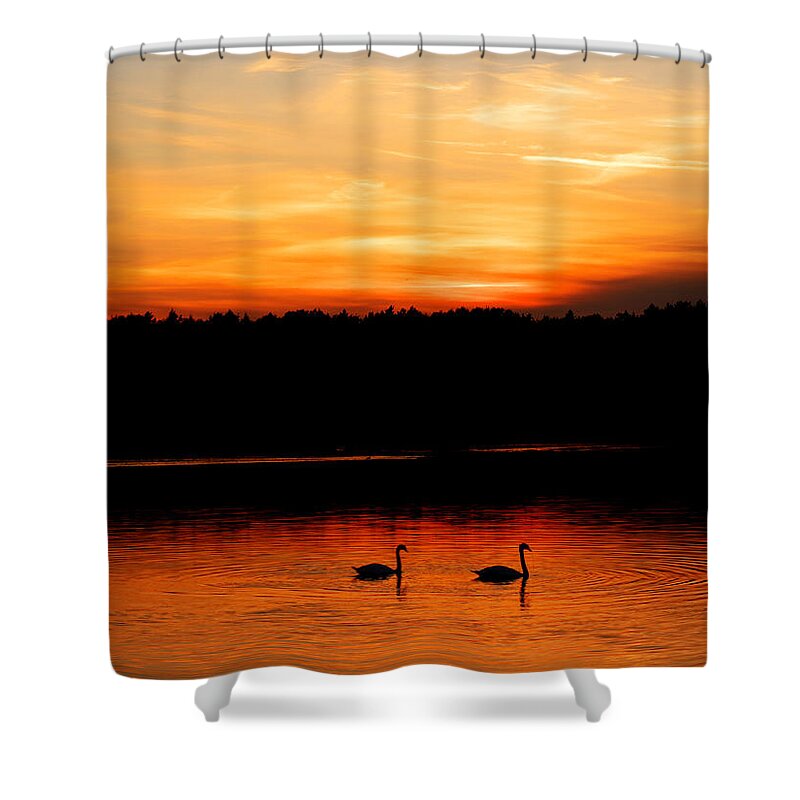 Swan Shower Curtain featuring the photograph Swans in the sunset by Ivan Slosar