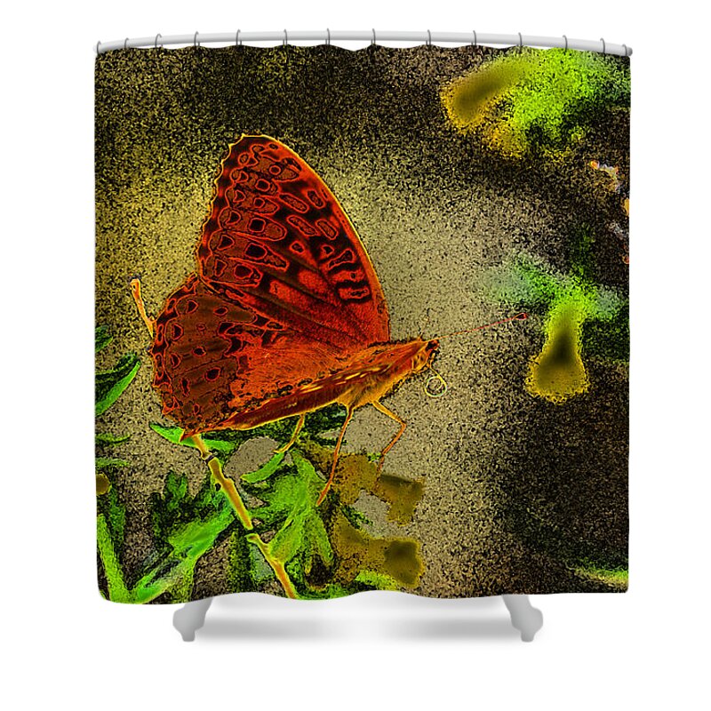 Signal Peak Shower Curtain featuring the photograph Sweet Afternoon Breeze by Vicki Pelham