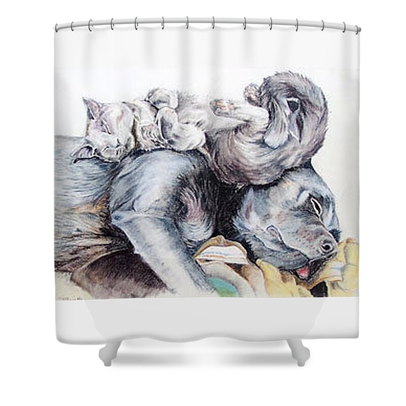 Dog Shower Curtain featuring the pastel Sweet Dreams by Teresa Smith
