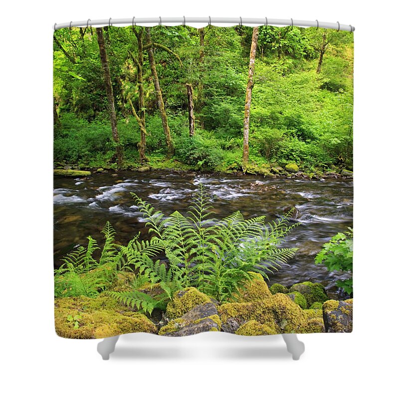 Tanner Creek Shower Curtain featuring the photograph Tanner Creek In Columbia River Gorge by Craig Tuttle