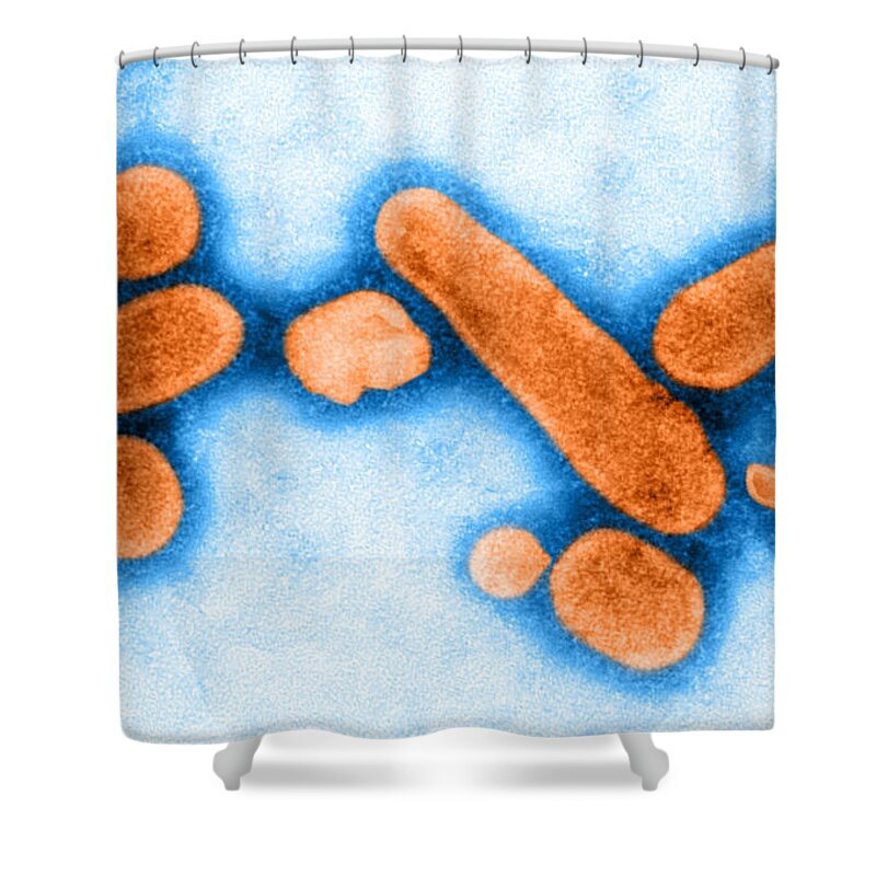 Transmission Electron Micrograph Shower Curtain featuring the photograph Tem Of 1918 Influenza Virions by Science Source