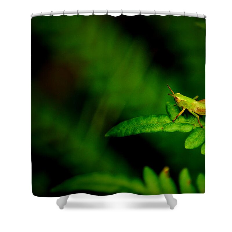 Grasshopper Shower Curtain featuring the photograph The Abyss by David Weeks
