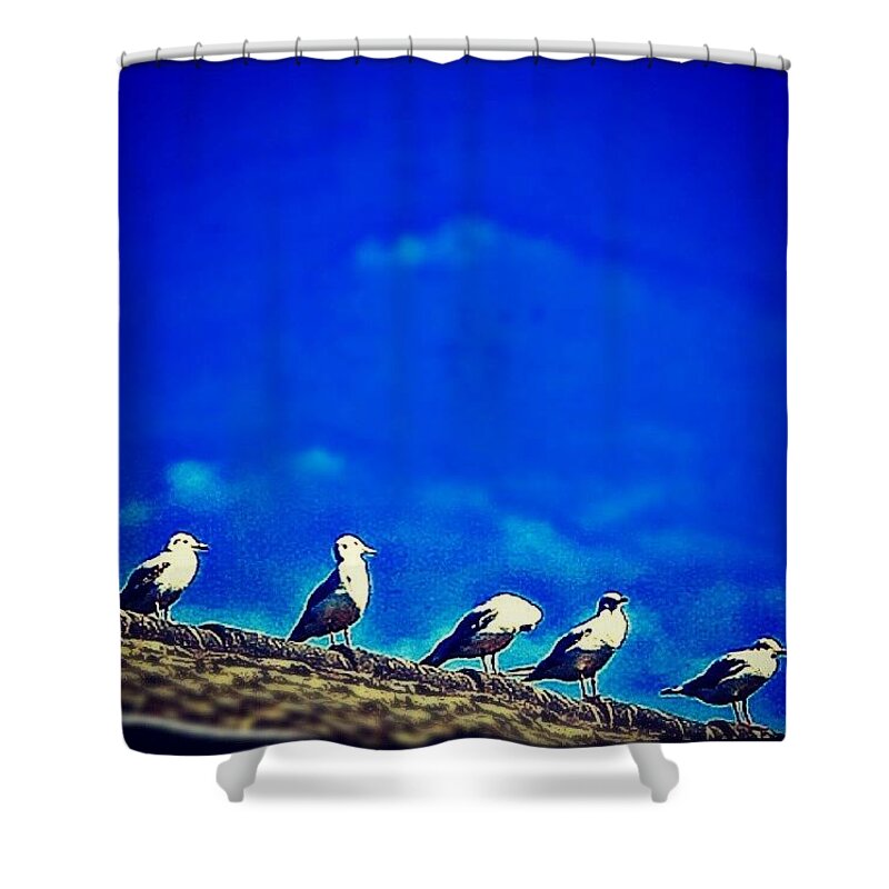 Sky Shower Curtain featuring the photograph The Birds by Hans Fotoboek