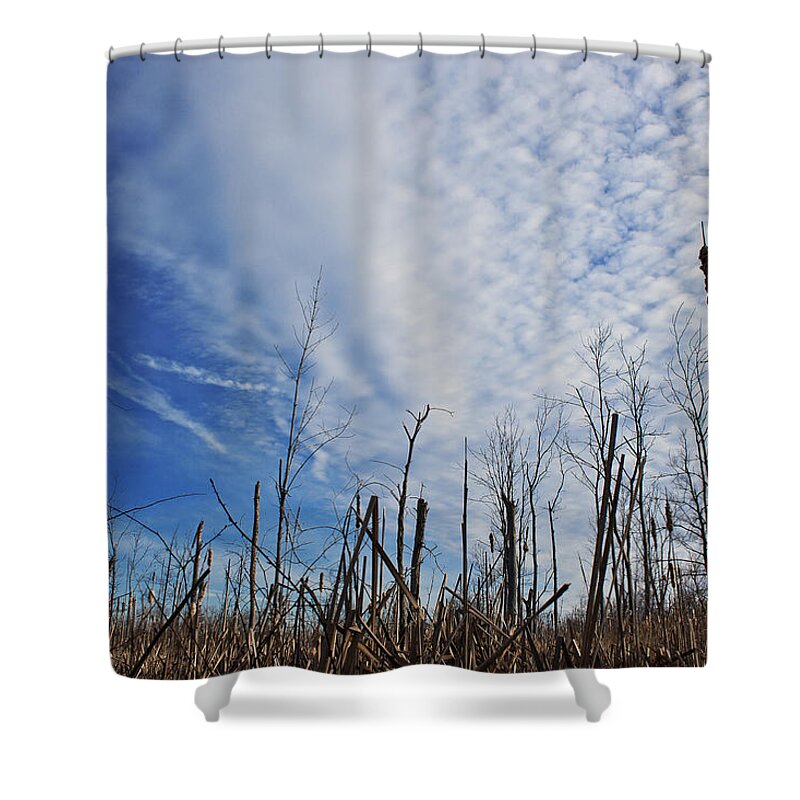 Brush Shower Curtain featuring the photograph The Calm Before The Storm by Scott Wood