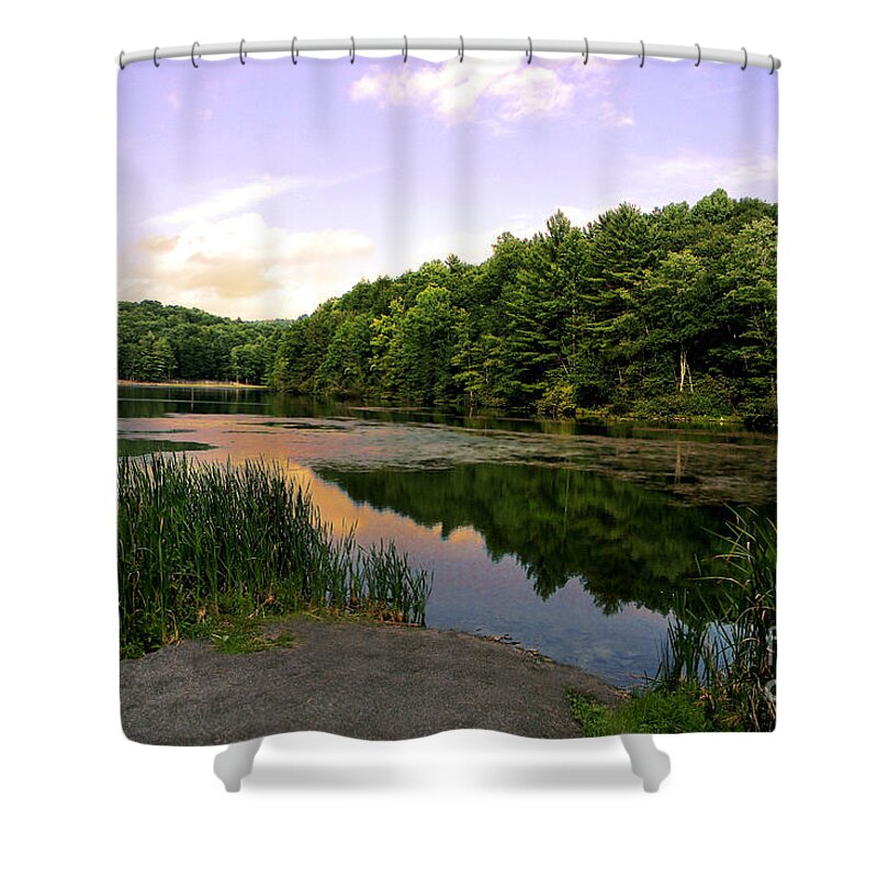 Reflection Shower Curtain featuring the photograph The End of the Road by Lisa Lambert-Shank