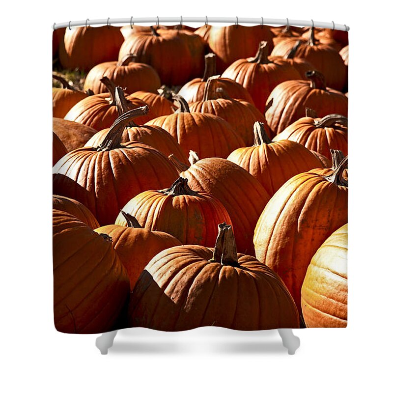 Fall Shower Curtain featuring the photograph The Great Pumpkin by Brenda Giasson