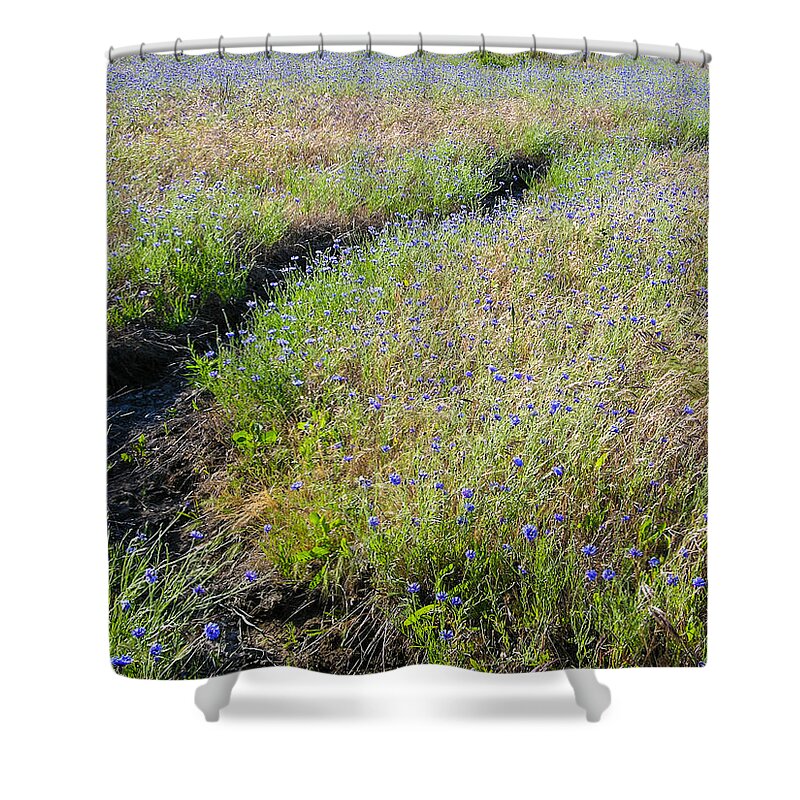 Path Shower Curtain featuring the photograph The Path by Mike Penney