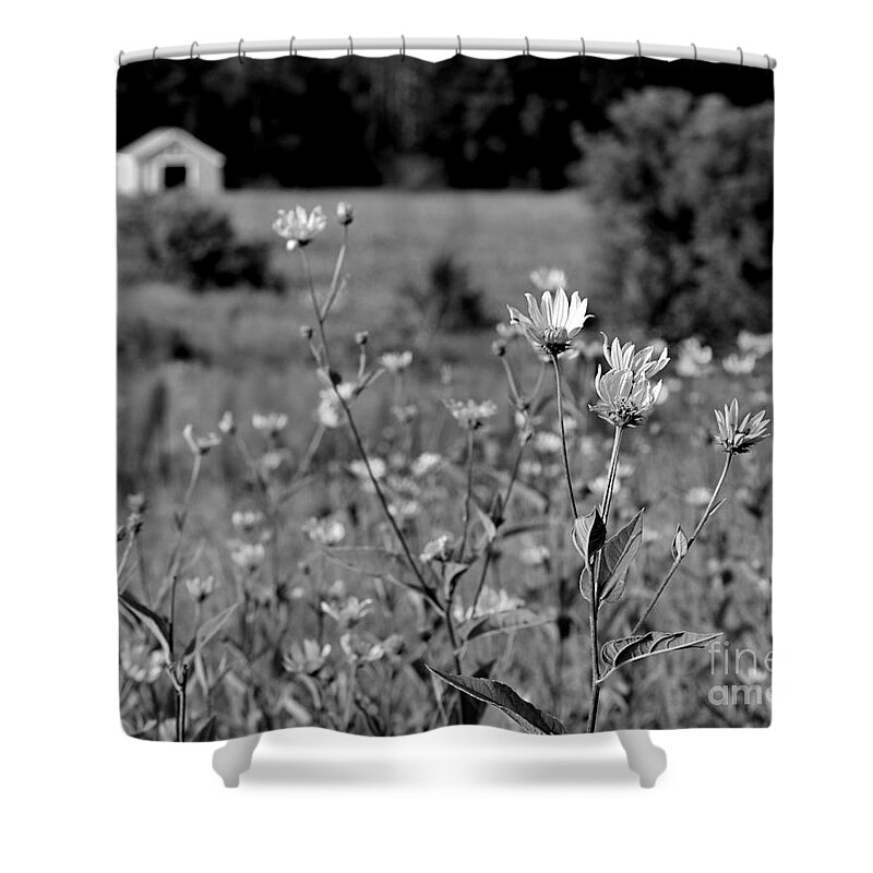 Black And White Photography Shower Curtain featuring the photograph The Prairie by Sue Stefanowicz