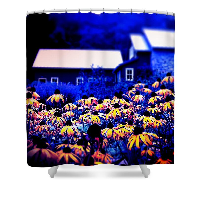 Flowers Shower Curtain featuring the photograph The Suns of God by Kevyn Bashore