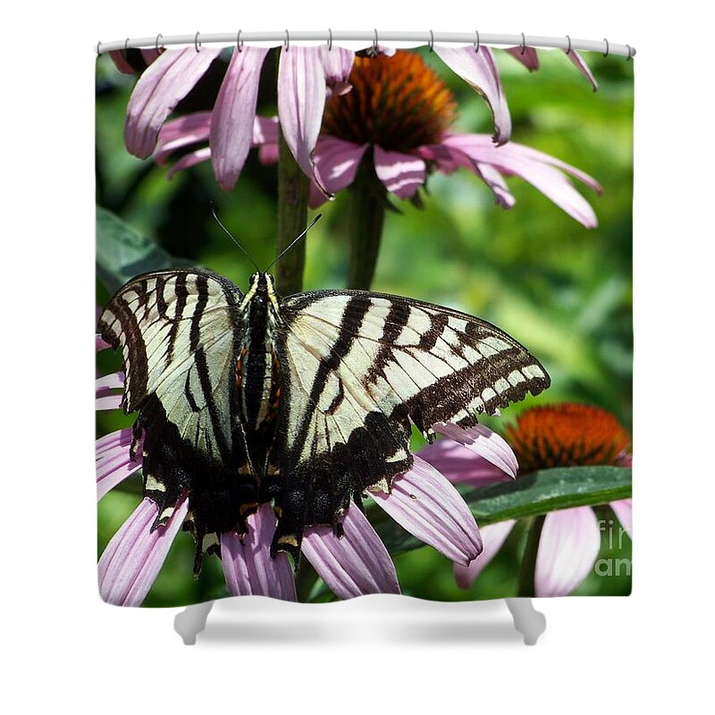 Butterflies Shower Curtain featuring the photograph The Survivor by Dorrene BrownButterfield