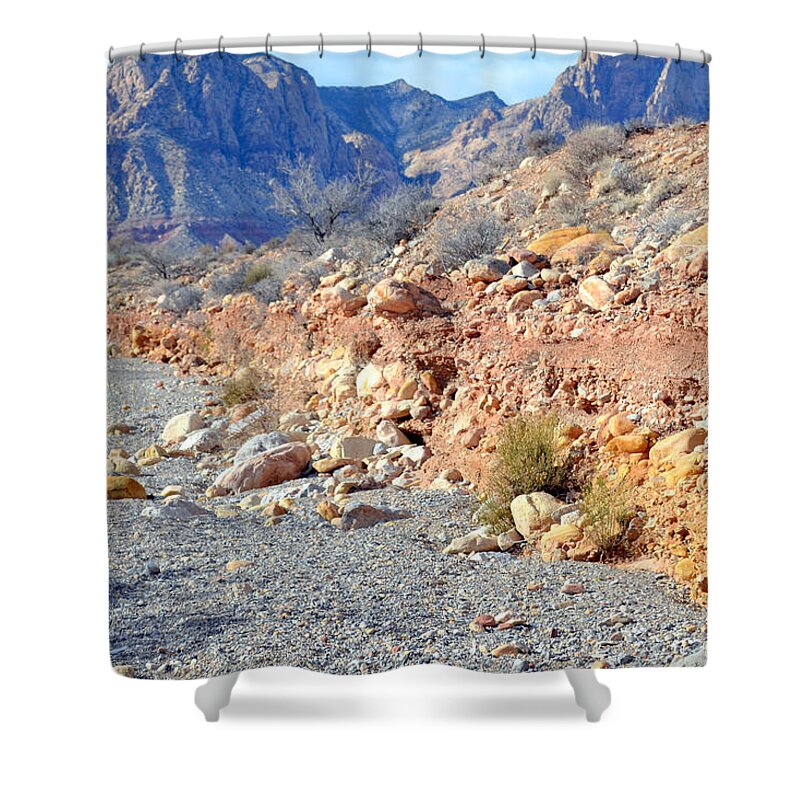 Landscape Shower Curtain featuring the photograph The Wash by Diane montana Jansson