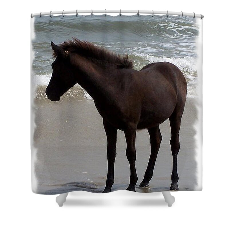 Foal Shower Curtain featuring the photograph Thinking About It by Kim Galluzzo Wozniak