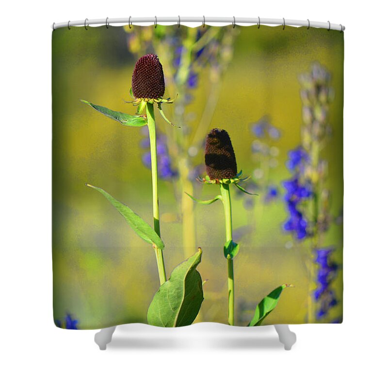 Fine Art Shower Curtain featuring the photograph Thistles by Donna Greene