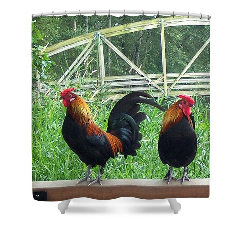 Rooster Shower Curtain featuring the photograph Three Roosters by Peter Mooyman