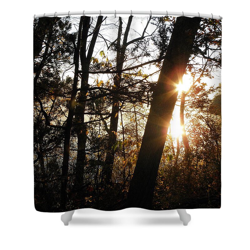 Trees Shower Curtain featuring the photograph Thru The Trees by Kim Galluzzo