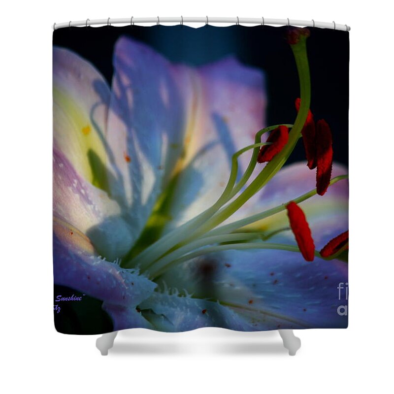 Lily Shower Curtain featuring the photograph Tiny Ray of Sunshine by Patrick Witz