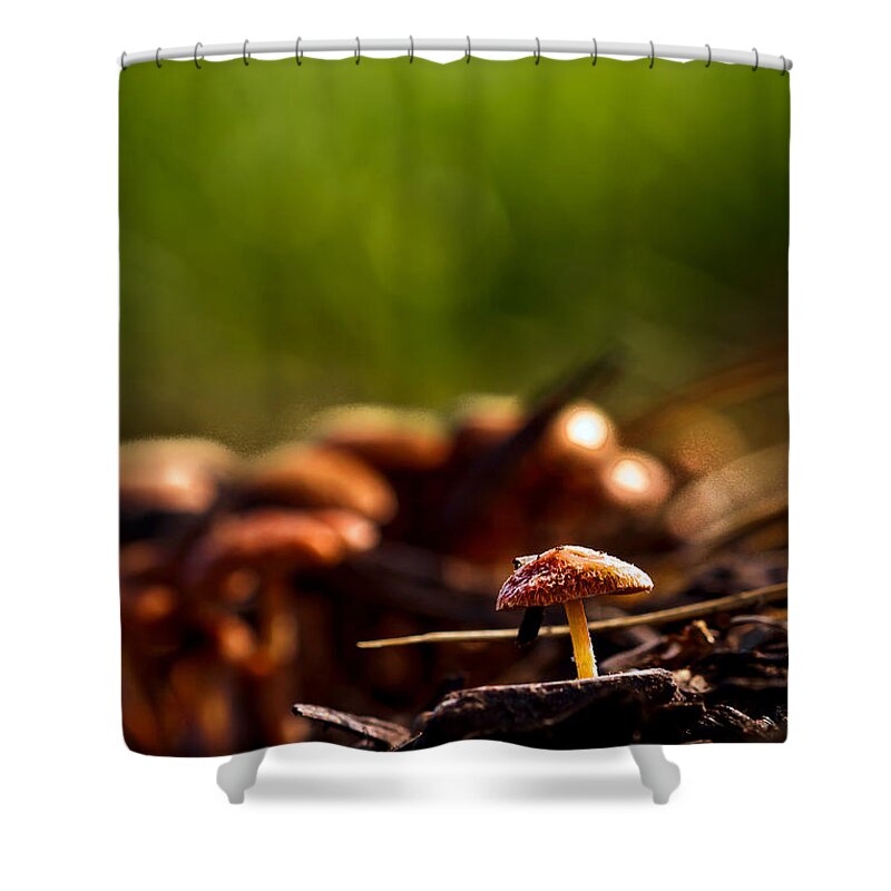 Mushrooms Small Macro Brown Yellow Orange Plant Fungus Green Shower Curtain featuring the photograph Tiny Shrooms by Keith Allen