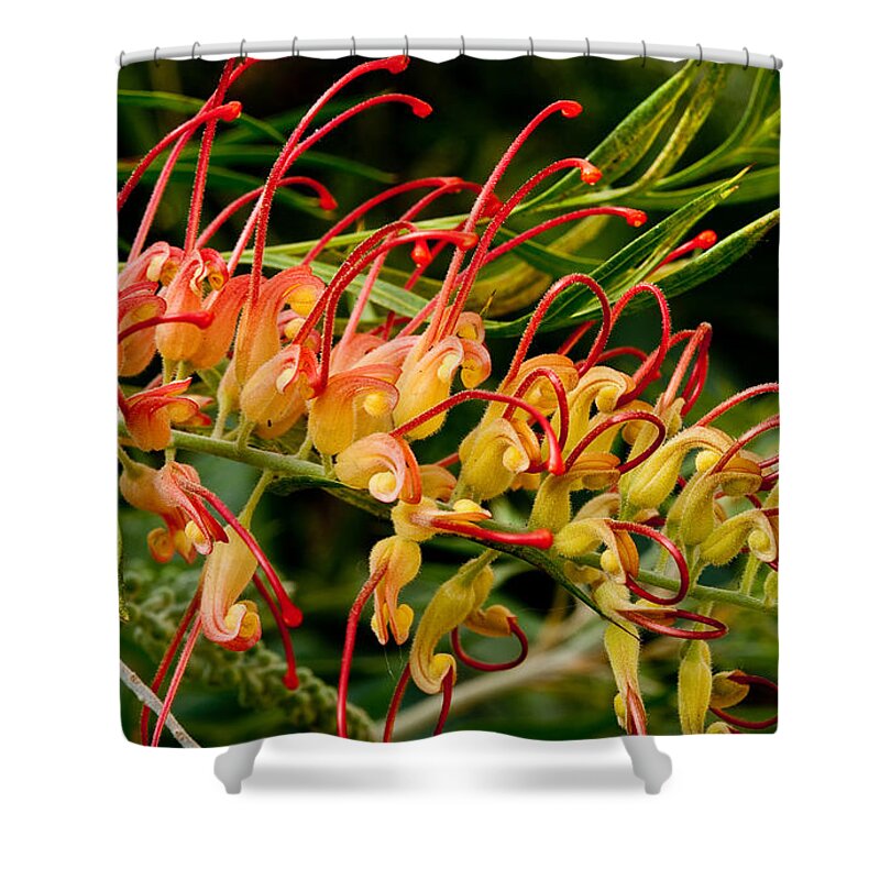 Topical Blossom Shower Curtain featuring the painting Blossom by Shijun Munns