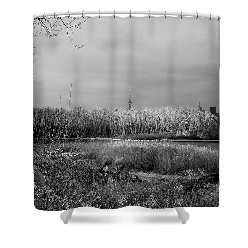 Toronto Shower Curtain featuring the photograph Toronto Skyline 12B by Andrew Fare