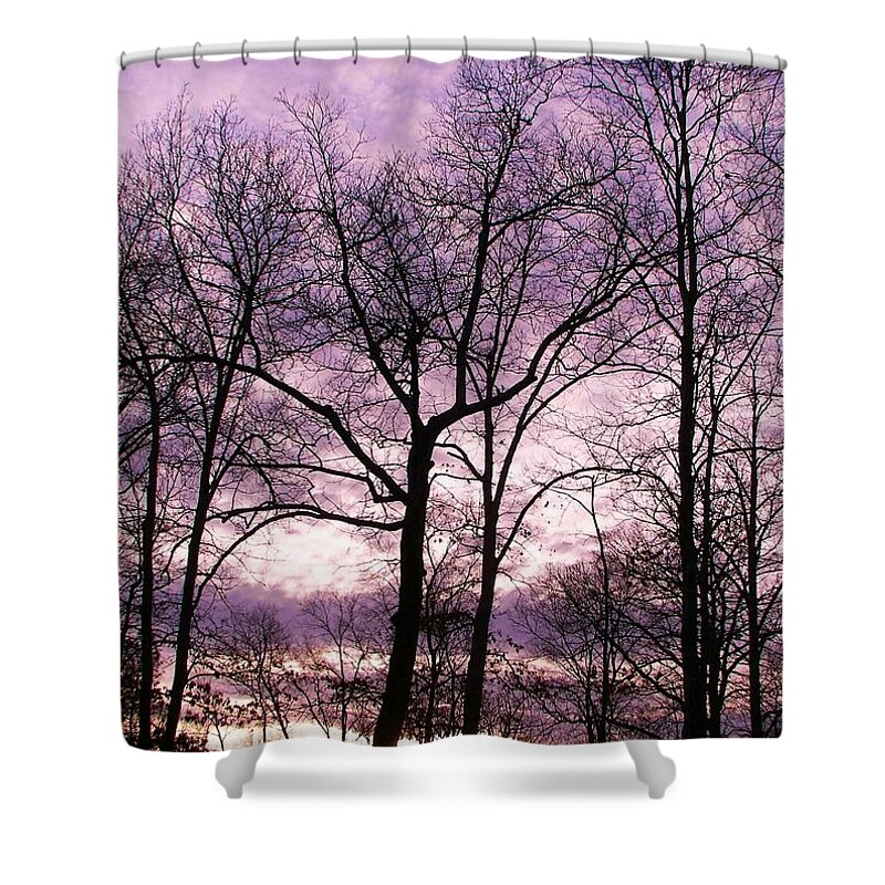 Trees Shower Curtain featuring the photograph Trees In Glorious Calm by Pamela Hyde Wilson