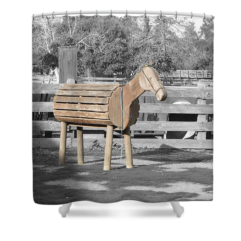 Wooden Horse Shower Curtain featuring the photograph Trojan Pony - Dreaming of Troy by Richard Reeve