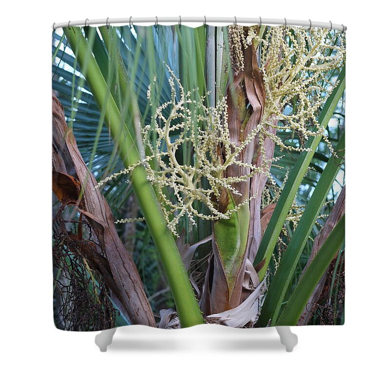 Tropical Shower Curtain featuring the photograph Tropical Textures by Heather Hennick