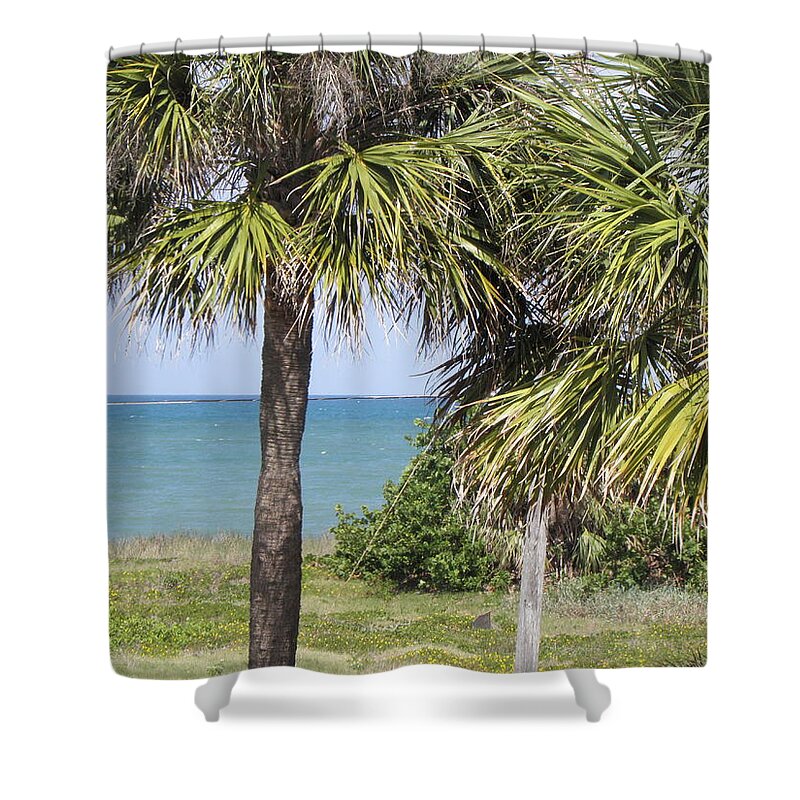 Palm Trees Shower Curtain featuring the photograph Tropicals by Kim Galluzzo