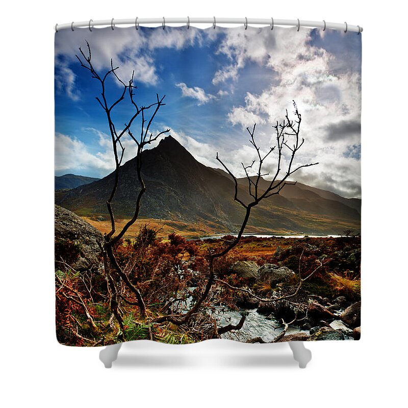 Tryfan Shower Curtain featuring the photograph Tryfan and tree by B Cash