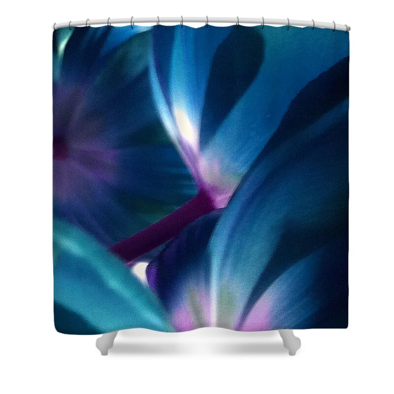 Blue Shower Curtain featuring the photograph Tulip Blues by Kathy Corday