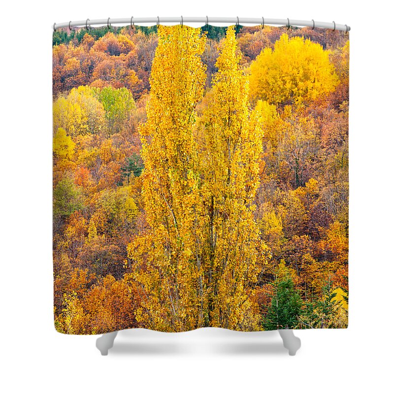 Awesome Shower Curtain featuring the photograph Tuscany landscape by Luciano Mortula