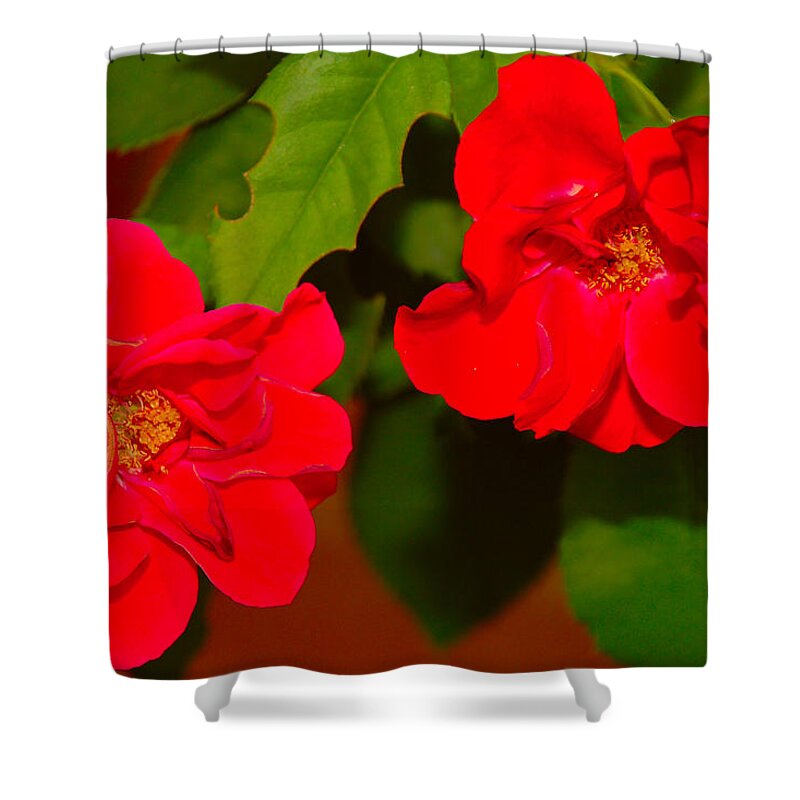 Blossoms Shower Curtain featuring the photograph Two Blossoms by John Bennett